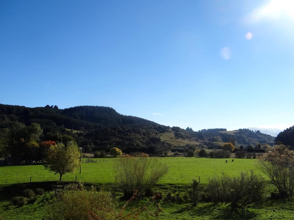 Arden Country House Waitati エクステリア 写真