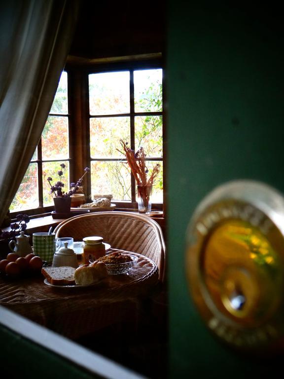Arden Country House Waitati エクステリア 写真