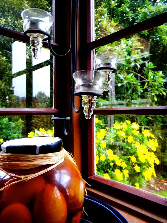 Arden Country House Waitati エクステリア 写真
