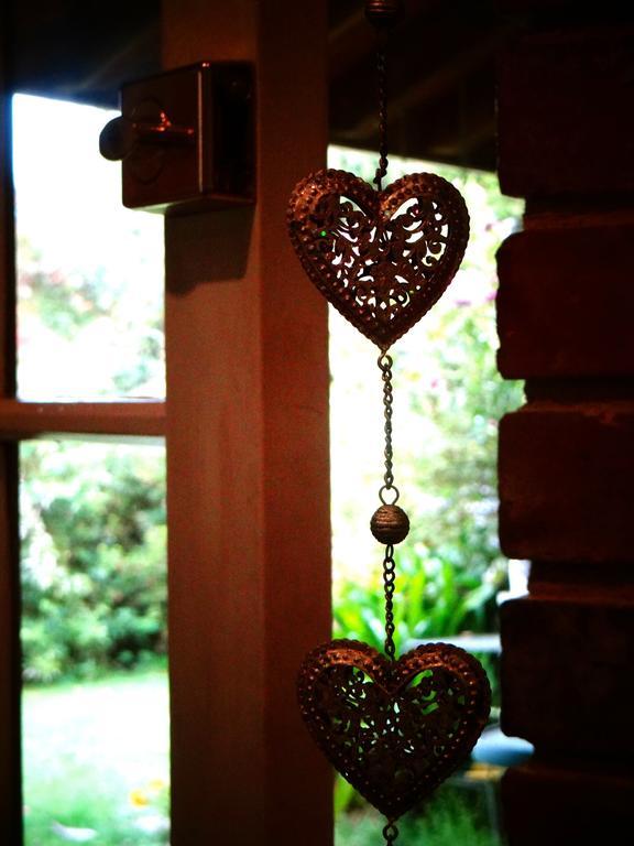 Arden Country House Waitati エクステリア 写真