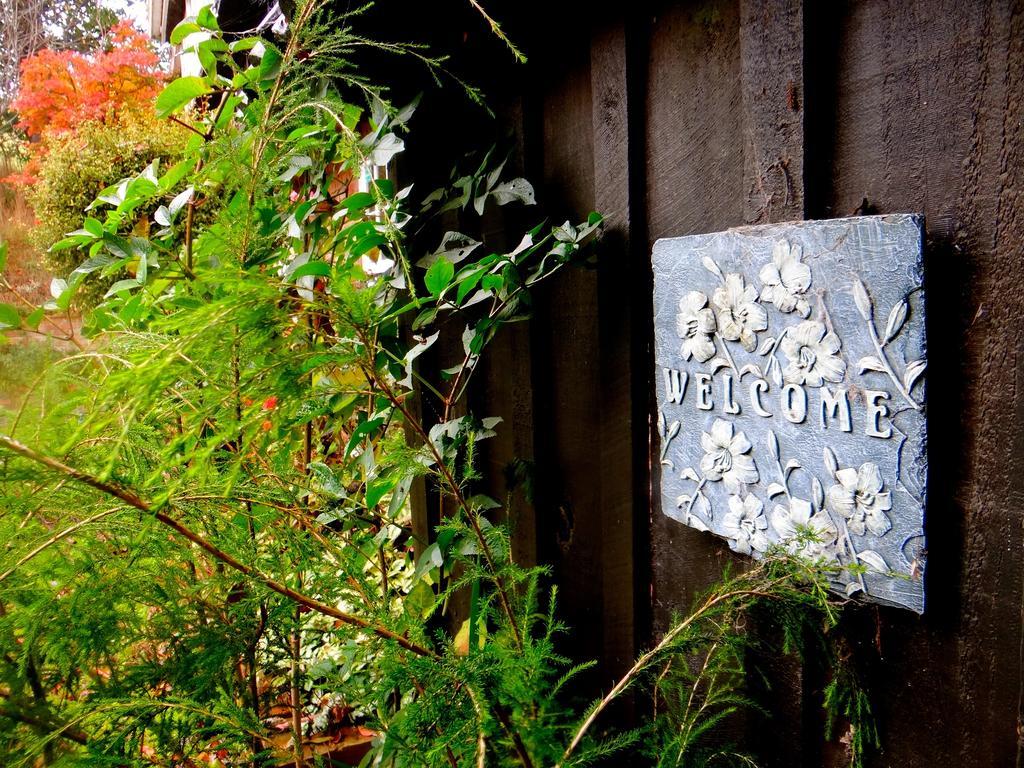 Arden Country House Waitati エクステリア 写真