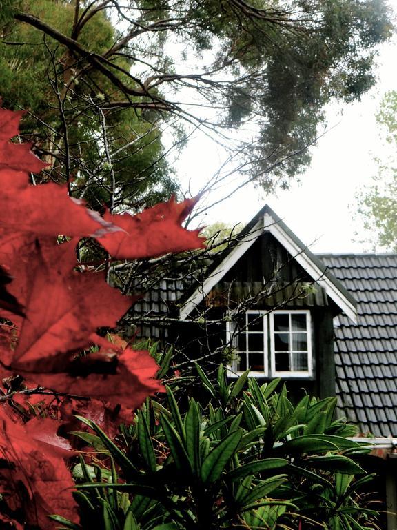 Arden Country House Waitati エクステリア 写真