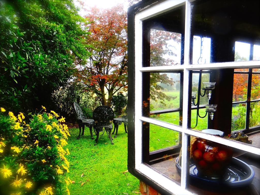 Arden Country House Waitati エクステリア 写真