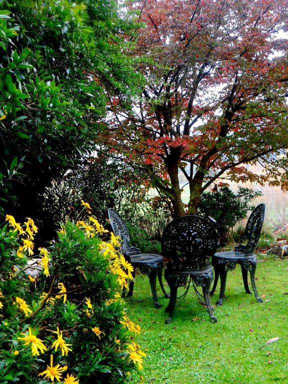 Arden Country House Waitati エクステリア 写真