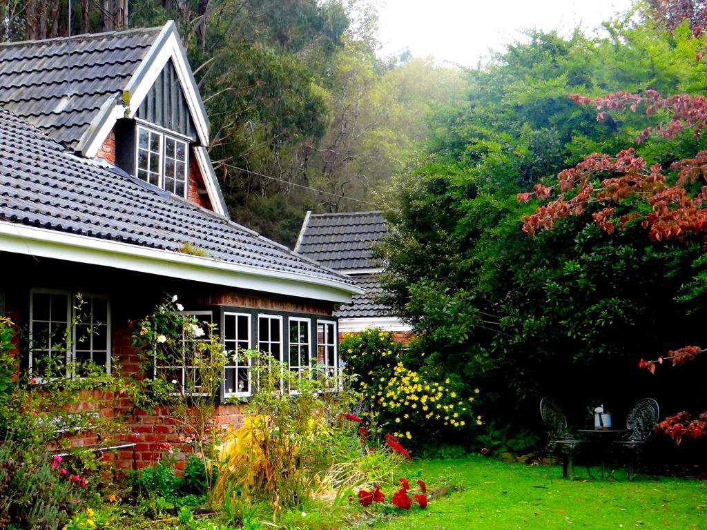 Arden Country House Waitati エクステリア 写真