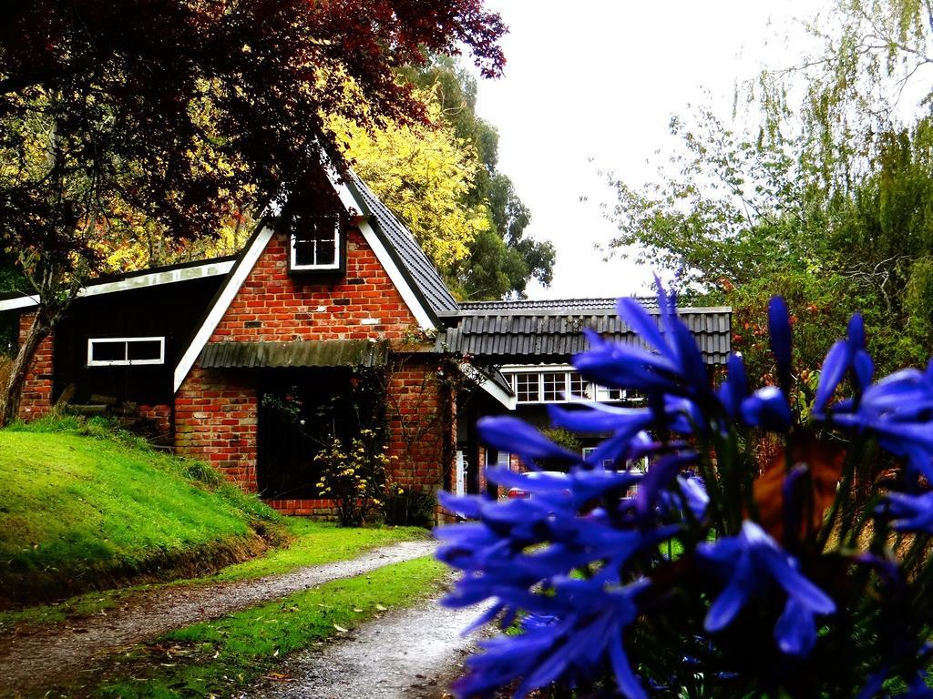 Arden Country House Waitati エクステリア 写真